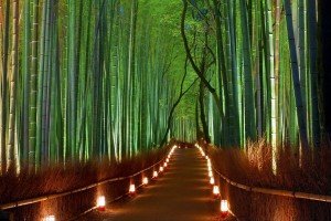 arashiyama