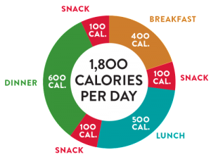 Portion Control Infograph